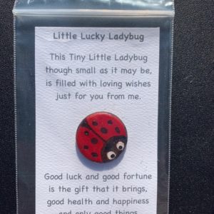 Little Lucky Ladybug